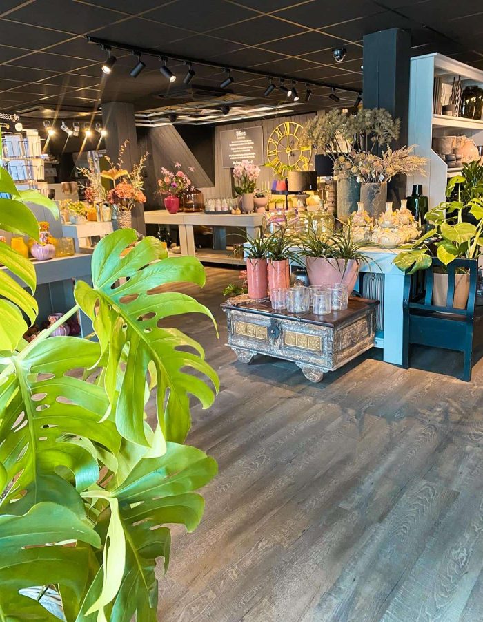 impressie-winkel