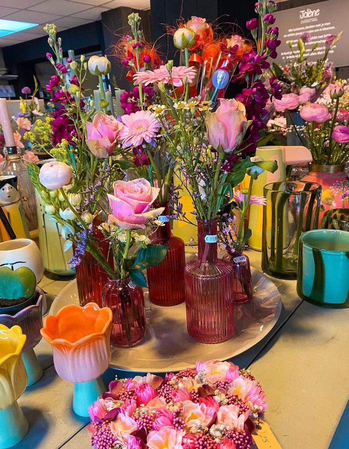 winkel-planten